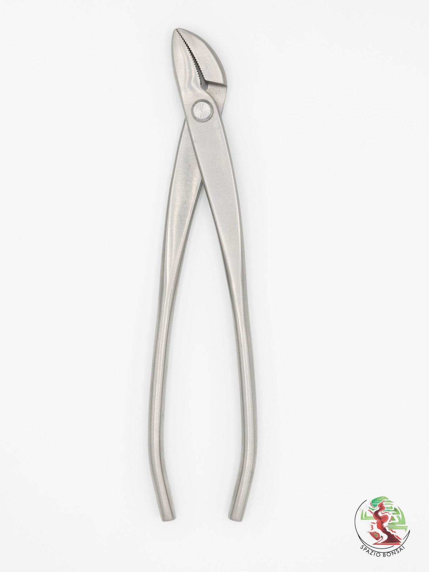 Immagine di Pinza curva 21 cm