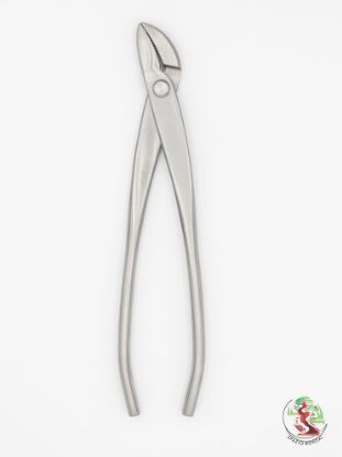 Immagine di Pinza curva 21 cm