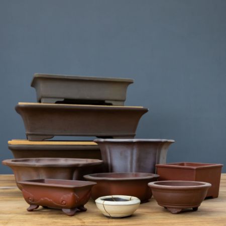 Immagine per la categoria Vasi per bonsai