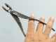 Immagine di Tagliarami  a lama stretta 18 cm giapponese