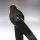 Immagine di Pinza 21 cm giapponese