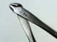 Immagine di Pinza Jin 17 cm giapponese