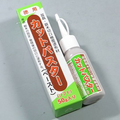 Immagine di Cicatrizzante "taglia-incolla" 50g giapponese