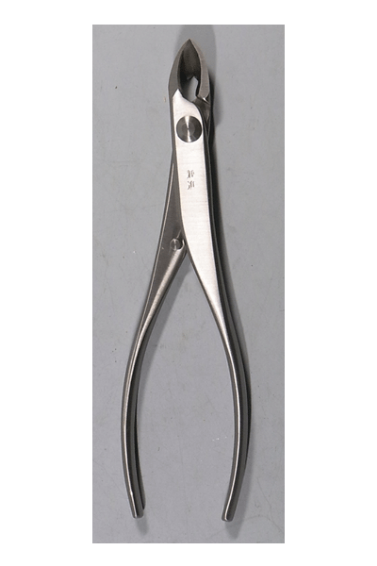 Immagine di Tagliarami  a lama stretta 18 cm giapponese