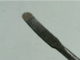 Immagine di Scalpello jin 18 cm giapponese