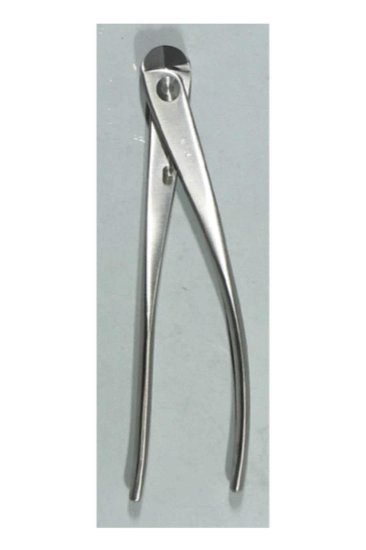 Immagine di Tagliafilo 18 cm giapponese