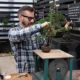 Immagine di Corso di tecnica Bonsai