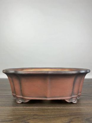 Immagine di Vaso Bonsai Ibuki 32 x 25,5 x 11