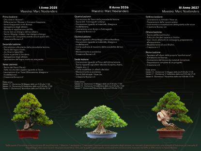 Immagine di Spazio Bonsai School 