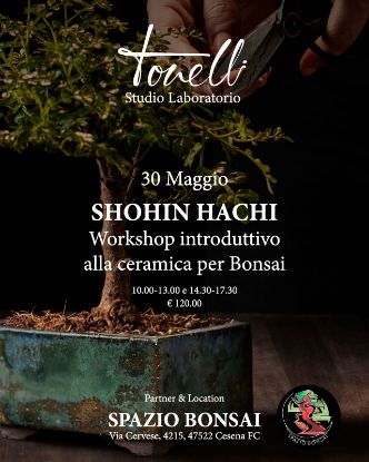 Immagine di Workshop di Ceramica 