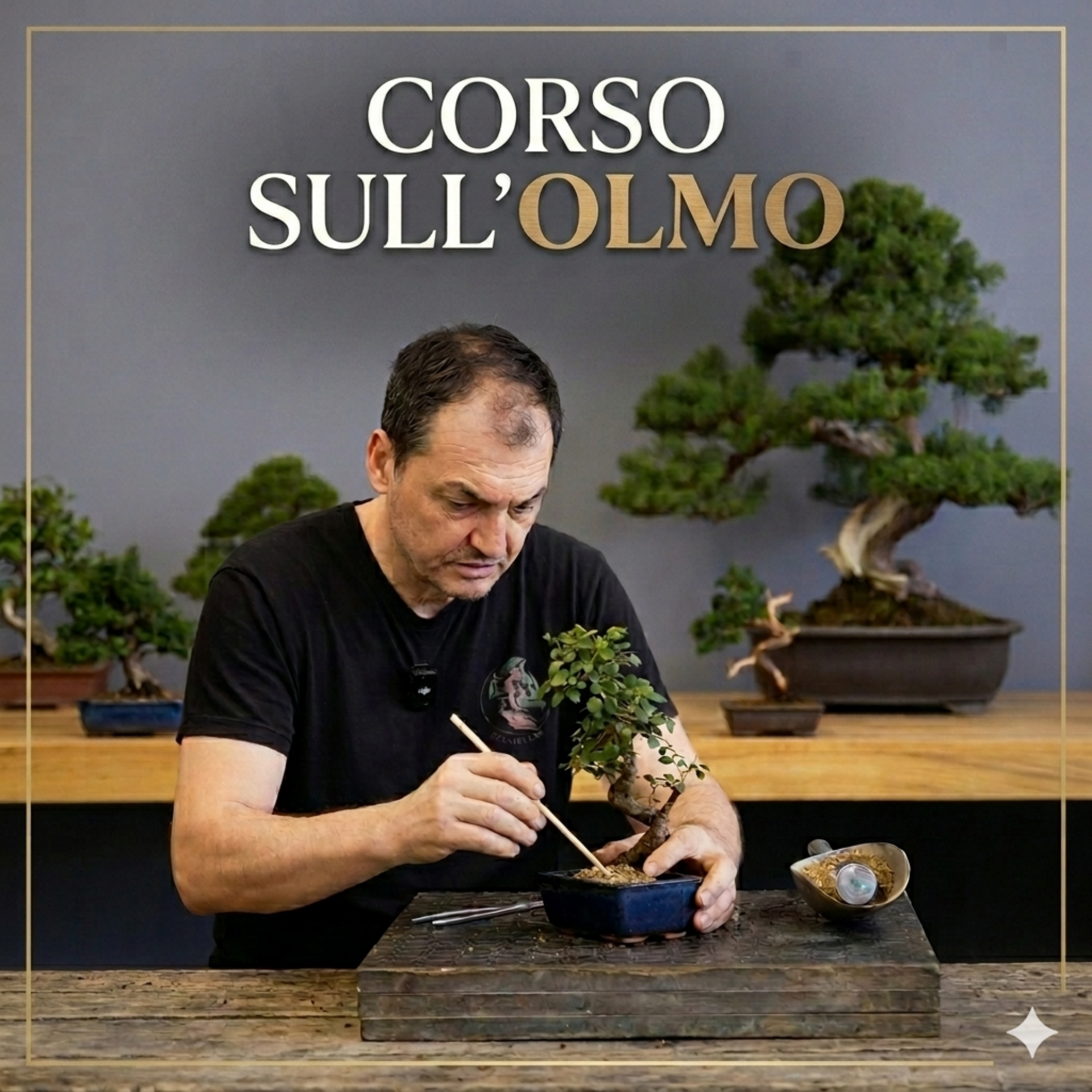 Immagine di Corso Online Olmo