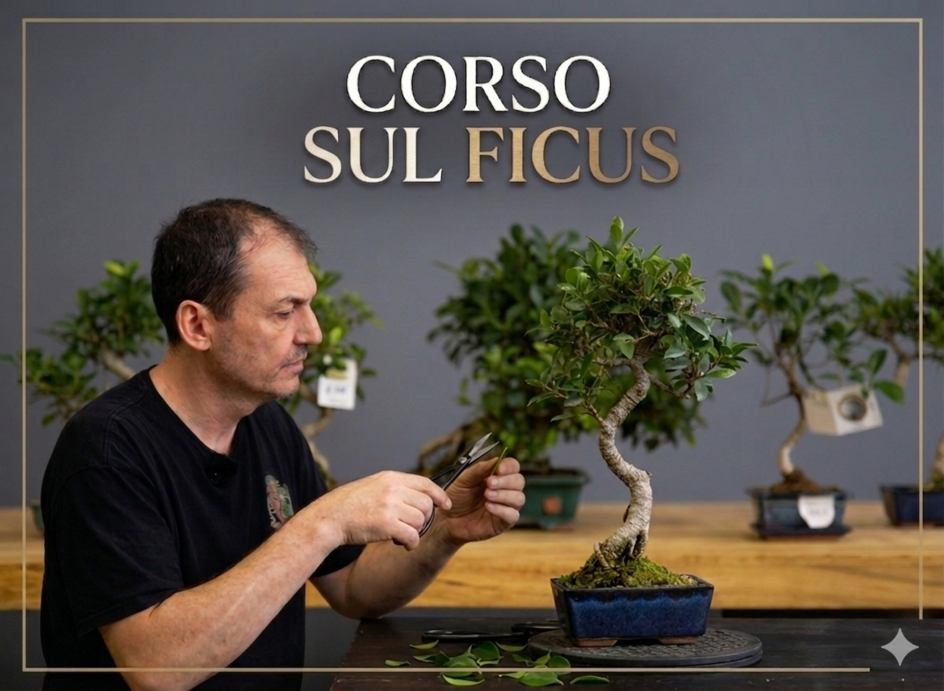 Immagine di Corso Online Ficus