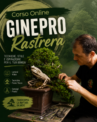 Immagine di Corso Online Ginepro Rastrera