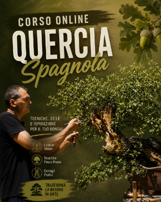 Immagine di Corso Online Quercia Spagnola