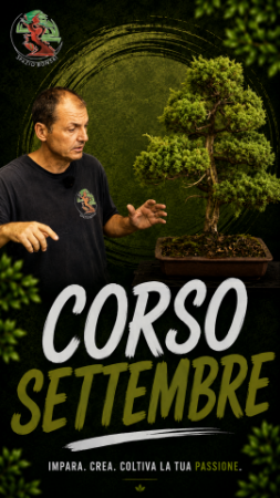 Immagine per la categoria Corso Online Mensile - SETTEMBRE